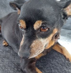 Meet your Posher, Cathy